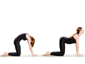 Cat Cow Pose